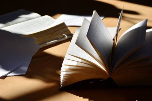 被强制执行的公司没钱怎么办