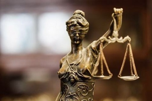 车撞人责任划分原则标准