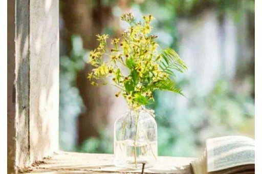 单方车祸司机发病死亡车险赔吗