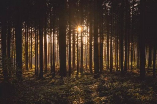 别人电动车撞我电动车我有责任吗