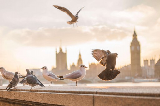 欠钱不还如何起诉