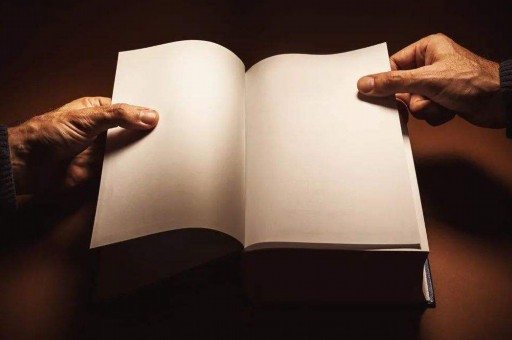 律师追债成功率高吗