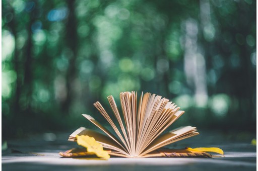 债务起诉期限是多久