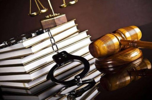 精神损失费的赔偿依据